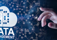 The Role and Evolution of Data Management Companies in the Digital Era